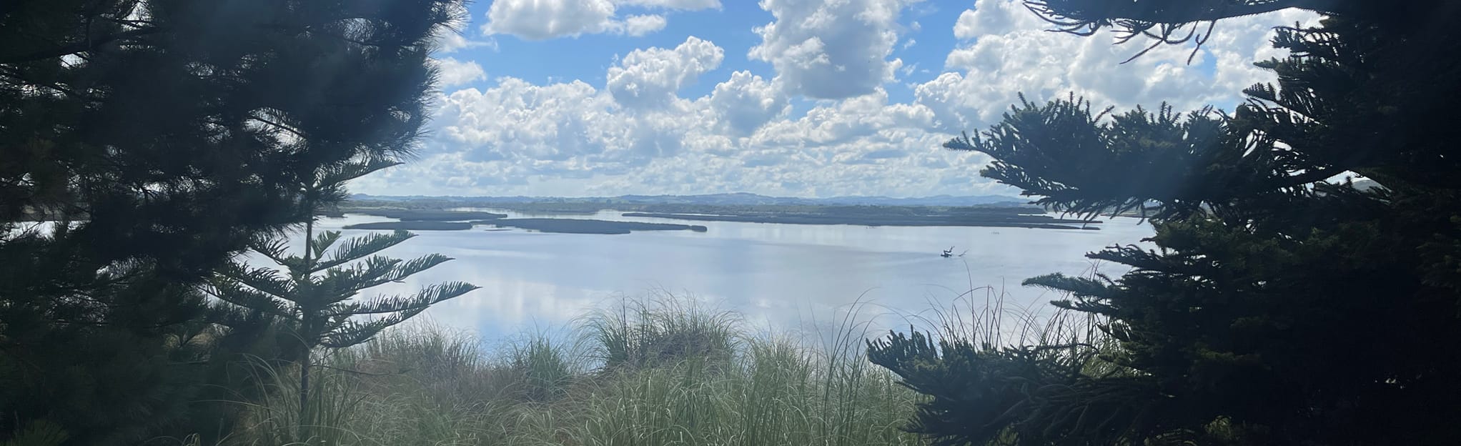 Waiuku Forest Loop Track, Auckland, New Zealand - 96 Reviews, Map ...