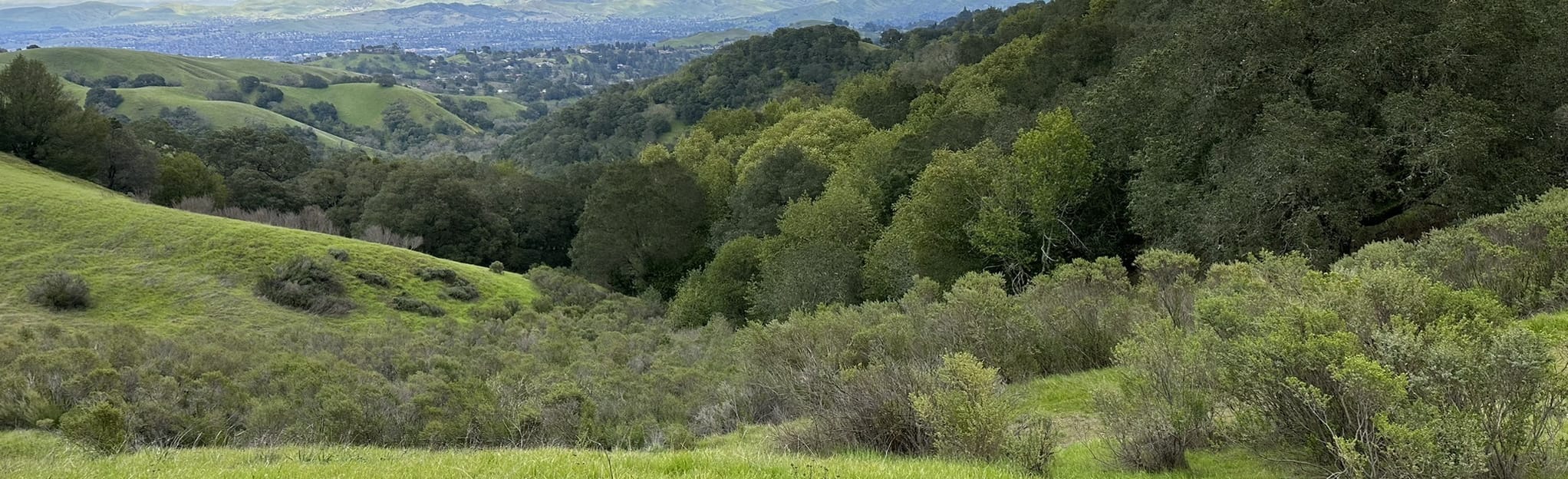 AllTrails Lafayette Ridge Trail to Briones Peak and Reliez Valley