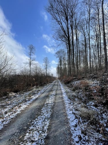 Rundwanderweg Heppenheim Starkenburg 3: Hambacher Grenzweg