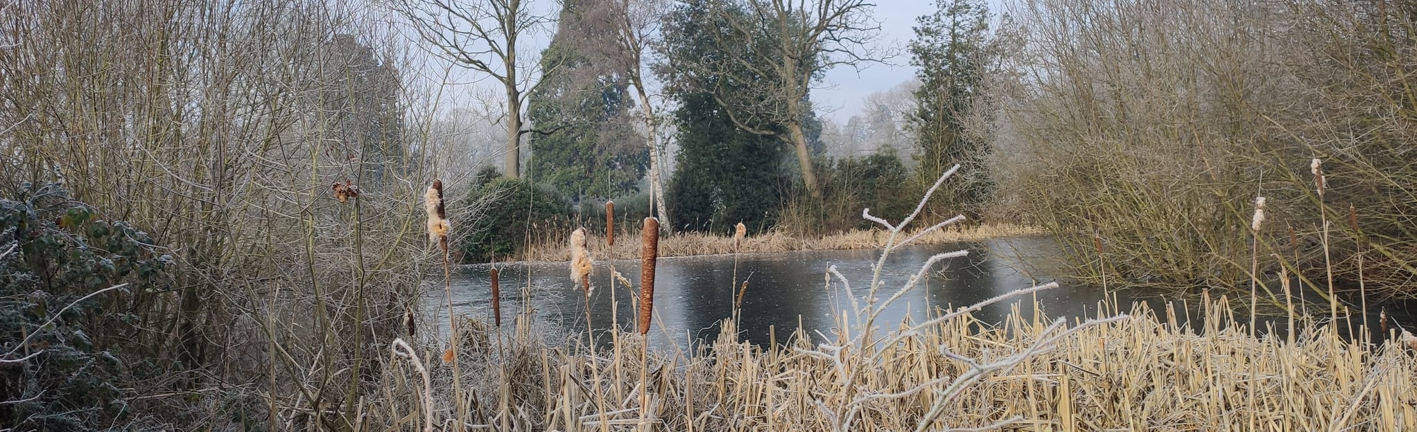 Beech Hill and Spencers Wood via Wood Lane 60 Fotos Berkshire