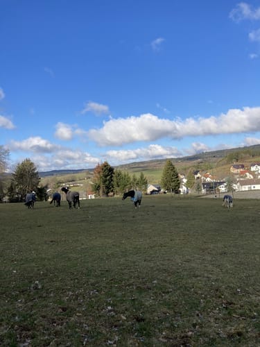 HeimatSpur Kleelandrunde