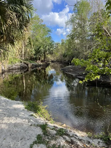 Spring shop hammock preserve