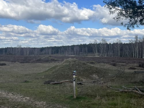 Teverener Heide Seenrundweg