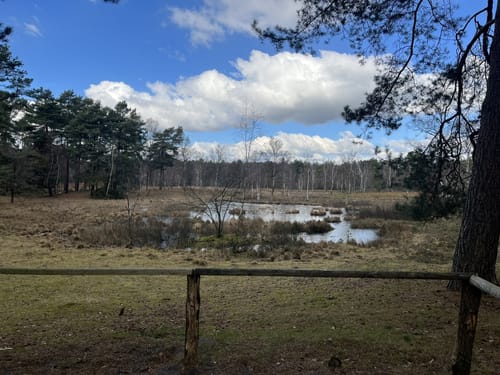 Teverener Heide Seenrundweg