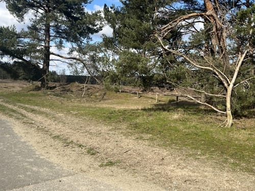 Teverener Heide Seenrundweg