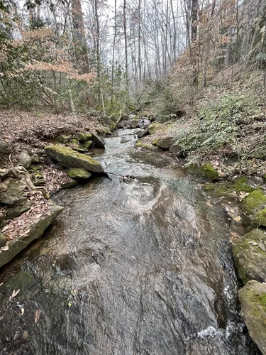 Best Hikes and Trails in Tryon | AllTrails