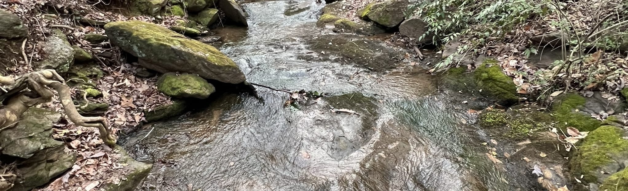 Woodland Park Loop, North Carolina 19 Reviews, Map AllTrails