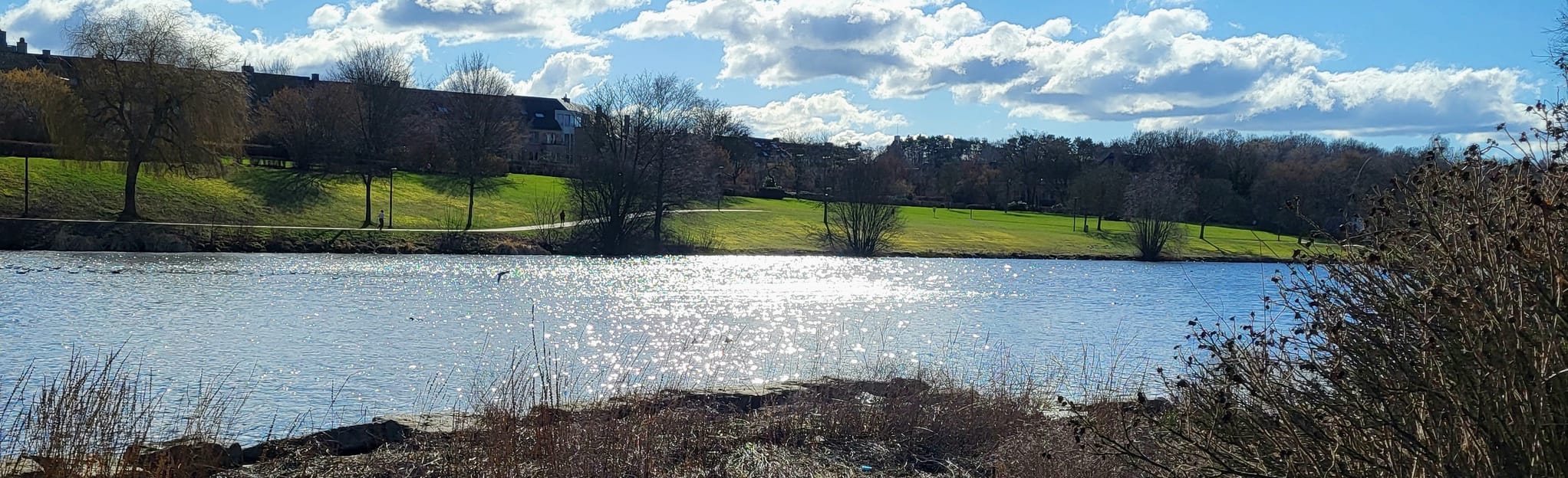 Lac de LLN et bois des reves, 74 Fotos Provinz WallonischBrabant