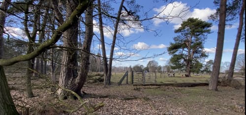 Heiliges Meer (Teutoschleife)