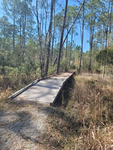 2023 Best Wheelchair Friendly Trails in Grand Bay National Wildlife ...