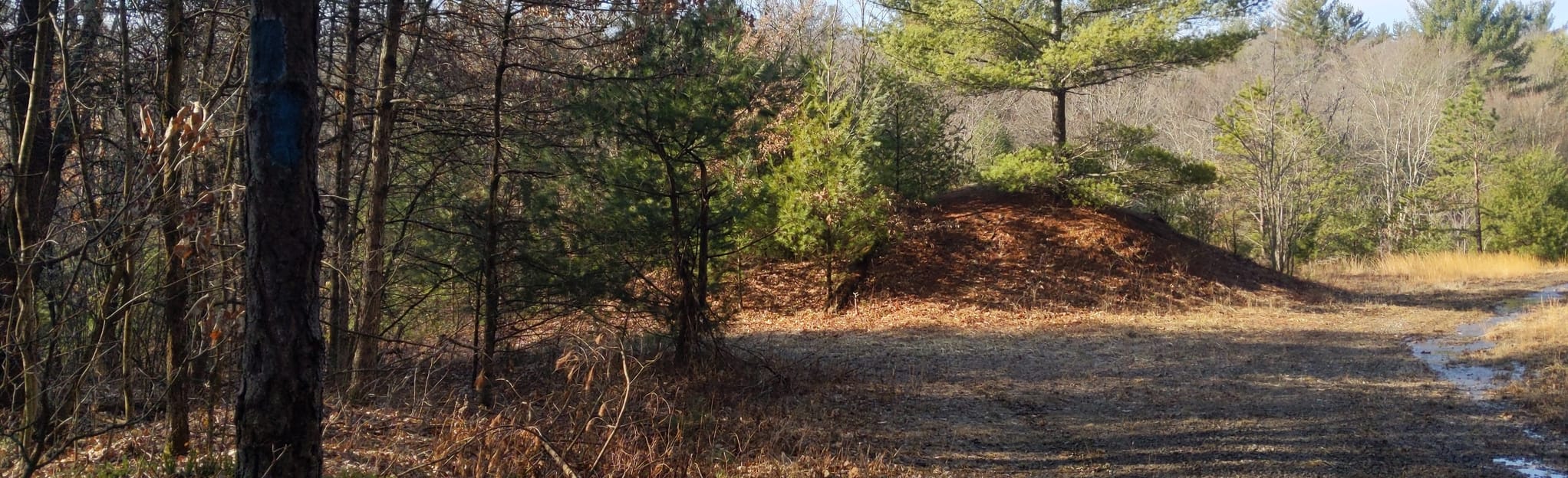 North Country Trail Shippenville, Pennsylvania 12 Reviews, Map