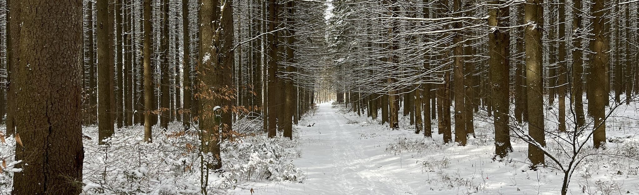 Truxton Hill, New York 96 Reviews, Map AllTrails