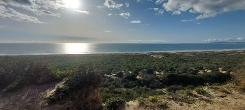 holte boekje paling De beste routes in Costa da Caparica voor 2023 | AllTrails