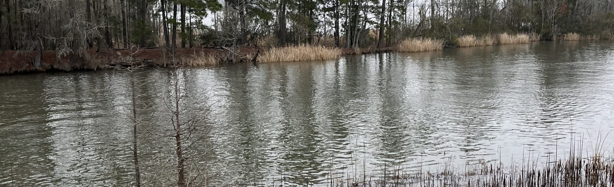 Cross Fish Hatchery Dike Road, South Carolina 39 Reviews, Map AllTrails