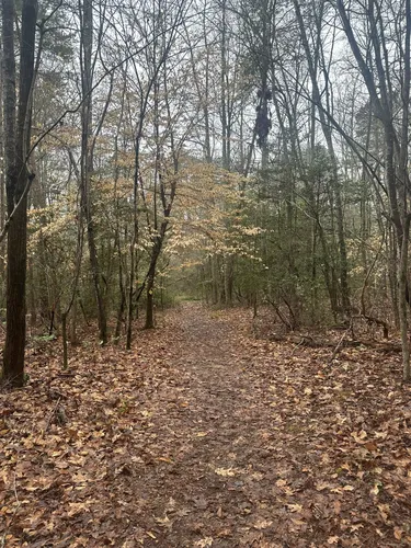 Hiking in clearance uwharrie national forest