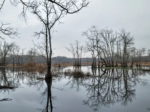 Best Hikes and Trails in Matthews Brake National Wildlife Refuge