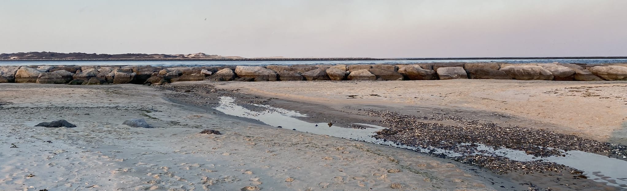 Barnegat Lighthouse Trail 152 Reviews, Map New Jersey AllTrails