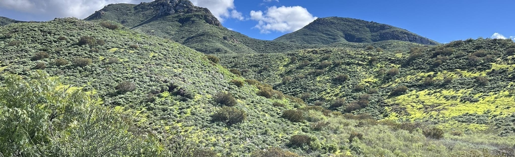 CSU Channel Islands Park Loop: 129 Reviews, Map - California | AllTrails