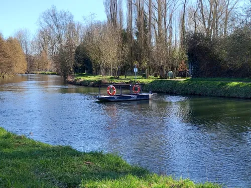 2023 Best Forest Trails in Magné AllTrails