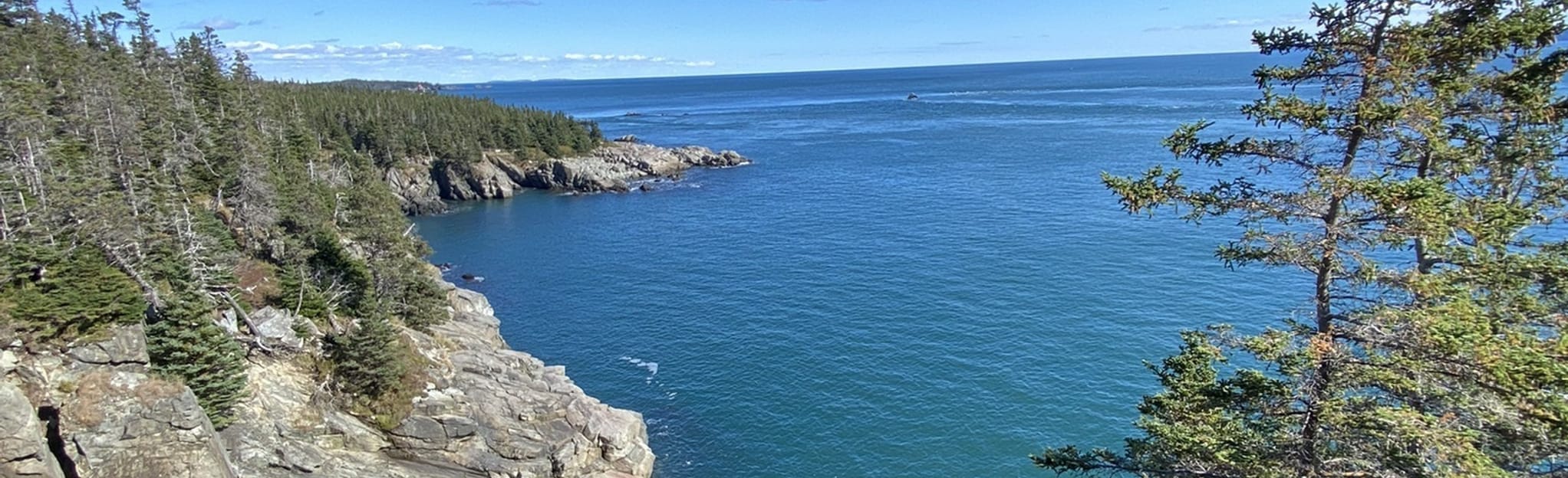 Inland Trail 51 Reviews, Map Maine AllTrails