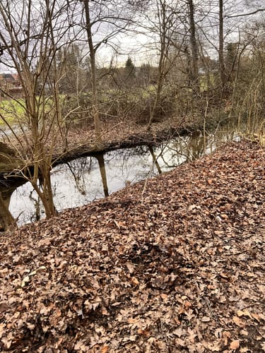 Bad Segeberg - Klein Rönnau - Ihlsee