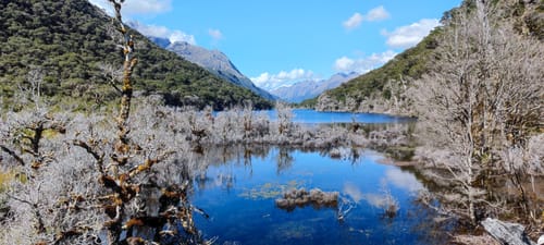 Best 10 Hikes and Trails in Fiordland National Park | AllTrails