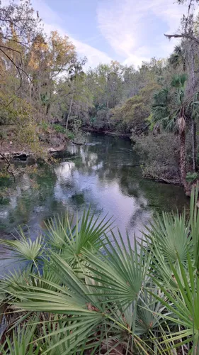 Best Hikes and Trails in Blue Spring State Park | AllTrails
