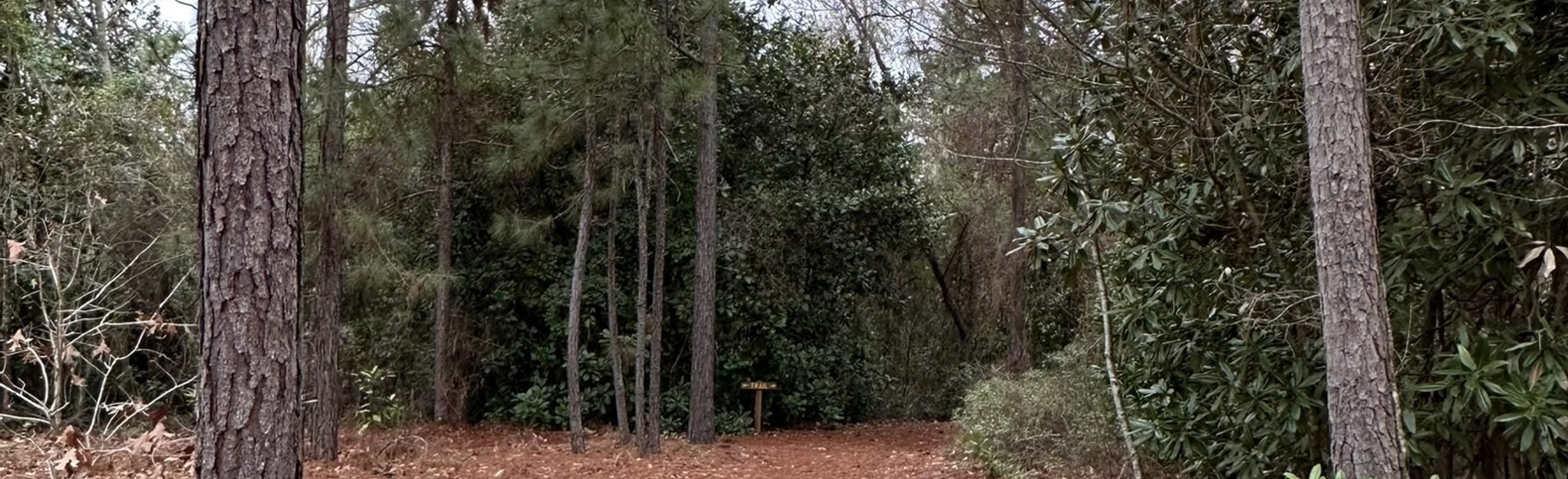 Pinebluff Nature Trails 20 Reviews, Map North Carolina AllTrails