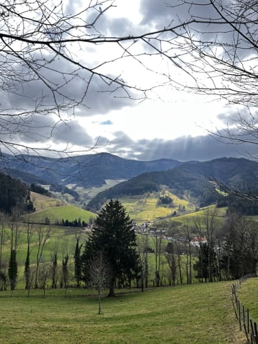 Fischerdobel ab Elzach