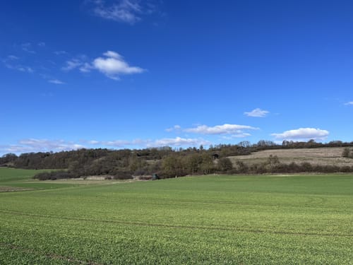 Rundwanderweg Wildgehege Willebadessen A2