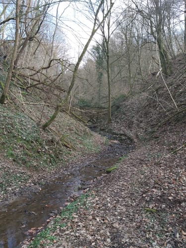 Oppig-Grät-Weg (Traumschleife)