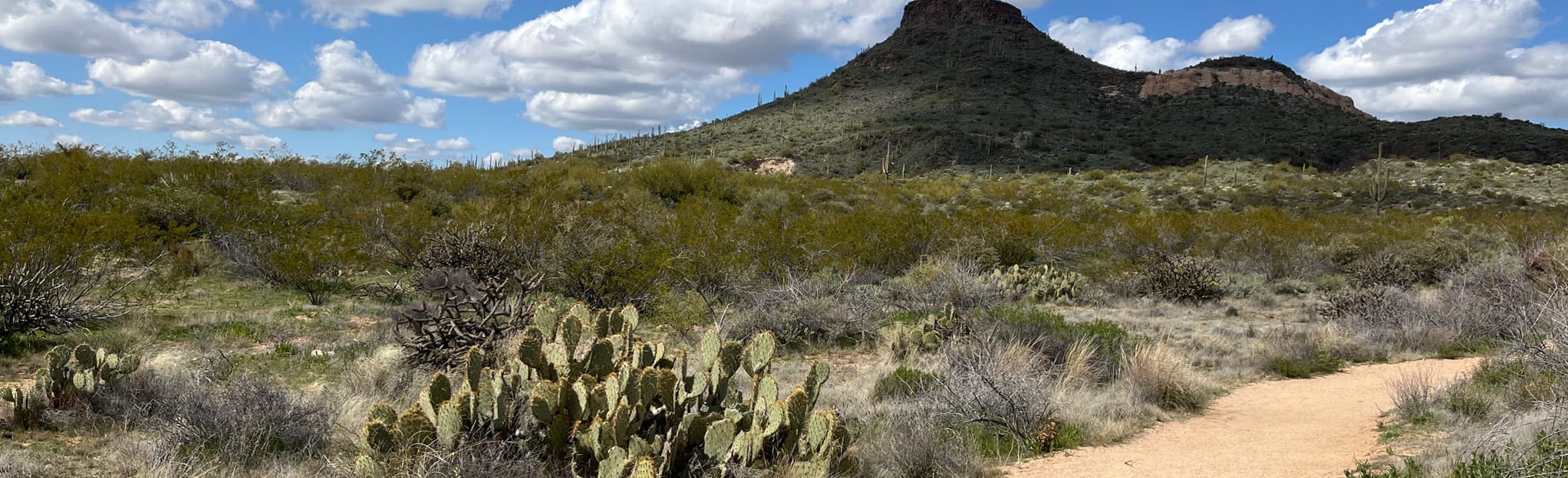 AllTrails Hawk Nest, Broken Spoke, High Desert, Corral, and Latigo