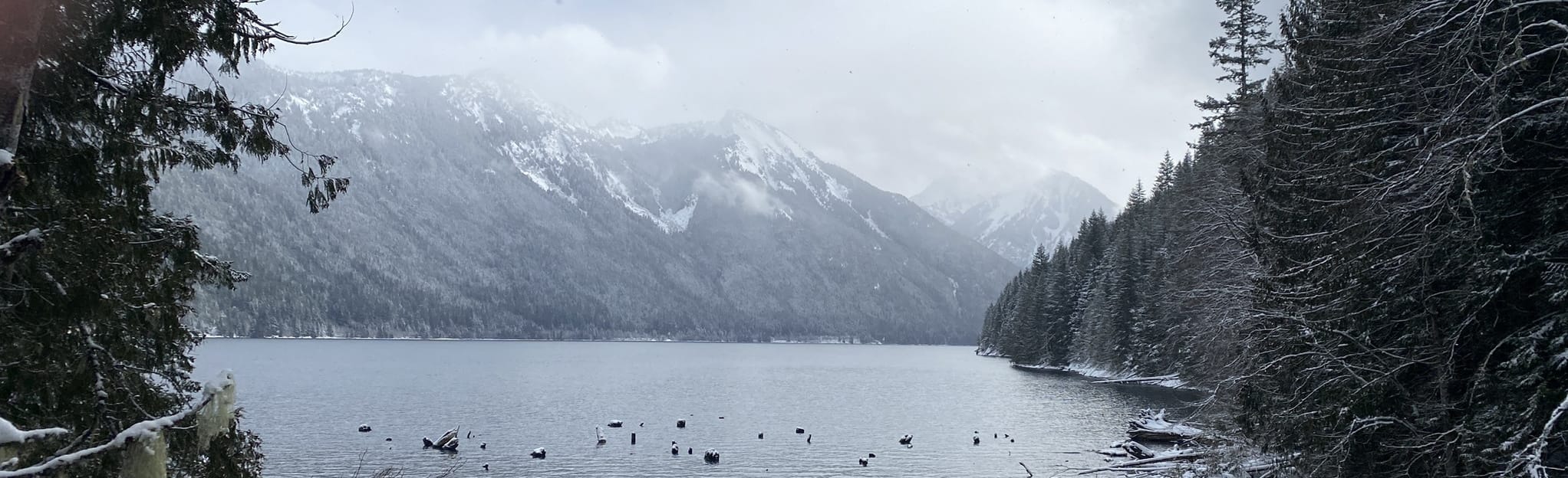 Chilliwack Lake Campground Loop: 41 Zdjęcia – Kolumbia Brytyjska ...