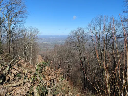 10 Best Trails and Hikes in Elizabethton | AllTrails