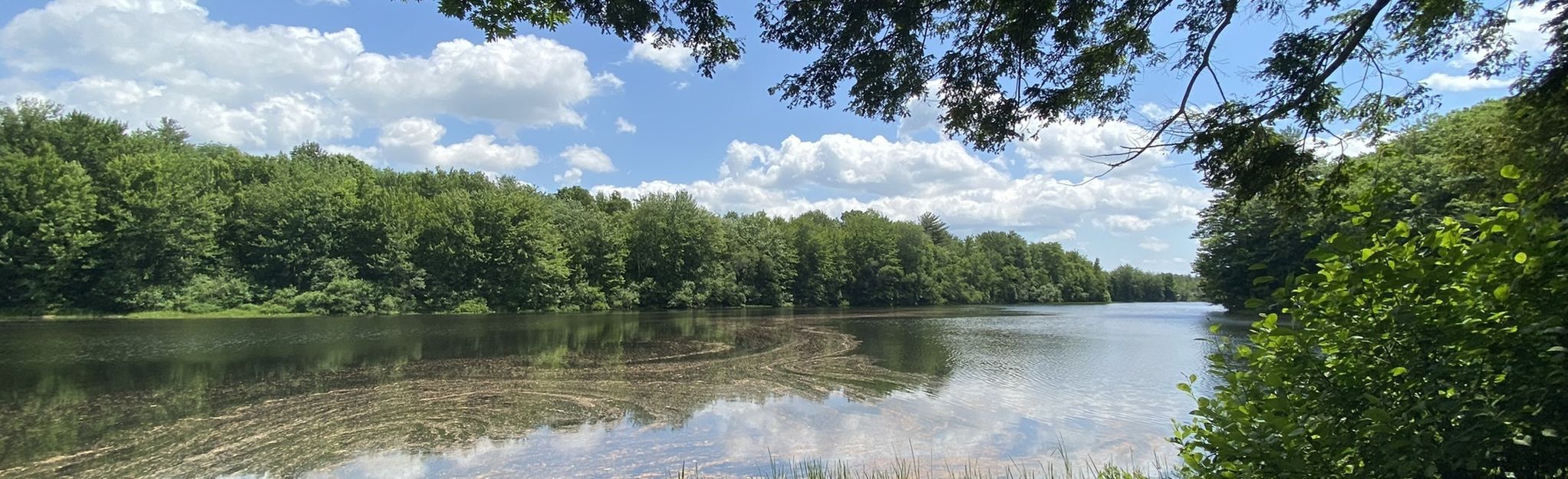 Sanford and Railroad Trail, Maine 44 Reviews, Map AllTrails