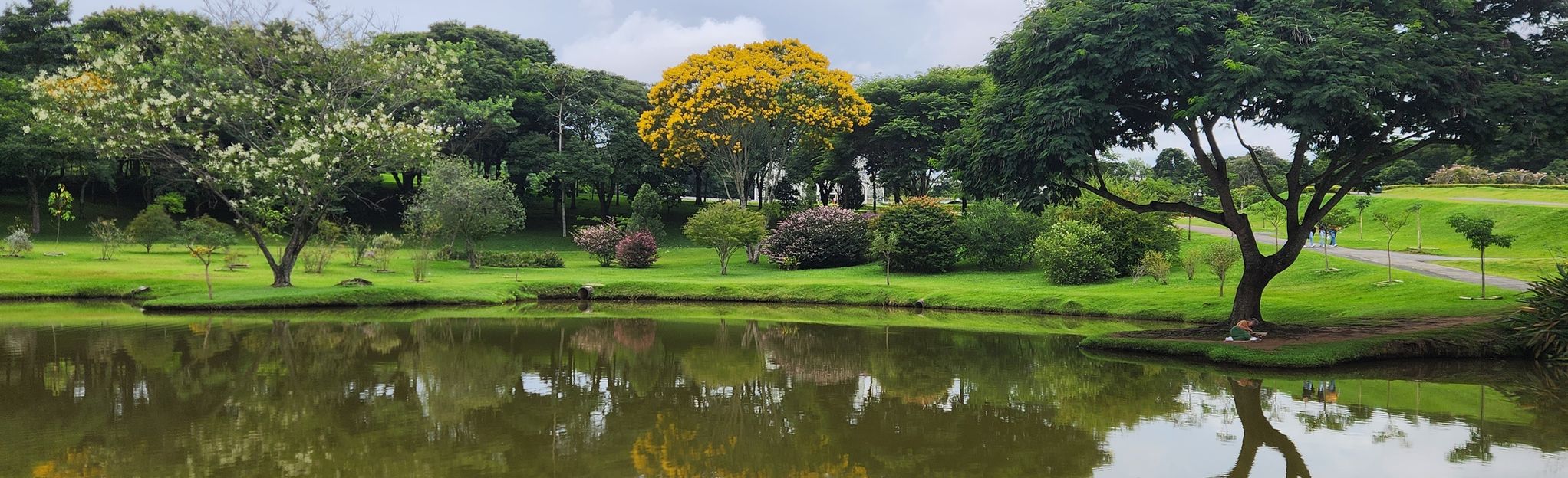 Jardim Botânico Francisca Maria Garfunkel Rischibieter, Paraná, Brazil ...