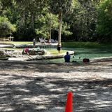 Kelly Park Rock Springs, Florida - 74 Reviews, Map | AllTrails