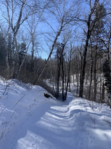 2023 Best Views Trails in Sandilands Provincial Forest AllTrails