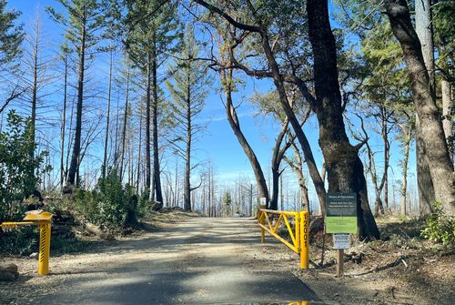 Le migliori escursioni e sentieri in San Vicente Redwoods | AllTrails
