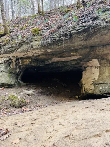 Best Cave Trails in McKee | AllTrails