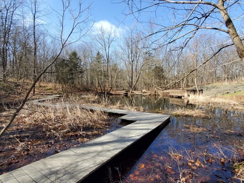 Best Hikes and Trails in Brukner Nature Center | AllTrails