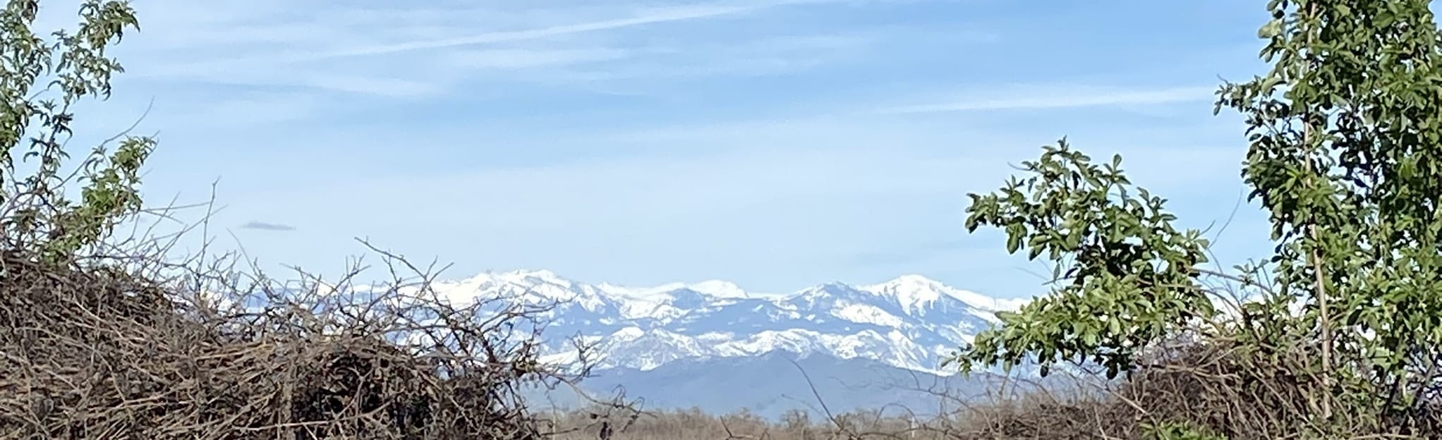 Buttonwillow Trail, California 48 Reviews, Map AllTrails