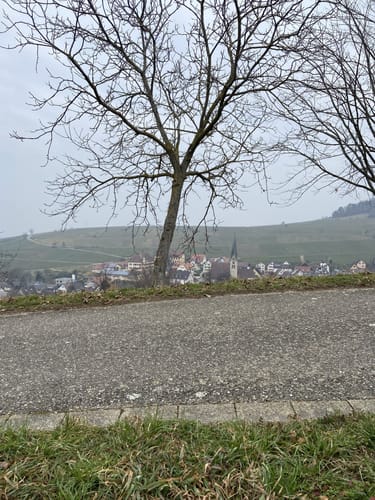 Stationenweg zur Berghauser Kapelle