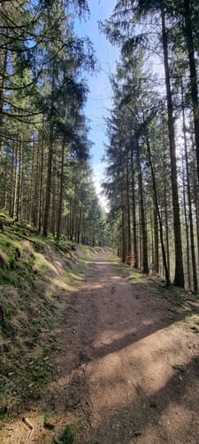 Vallée de la Holzwarche