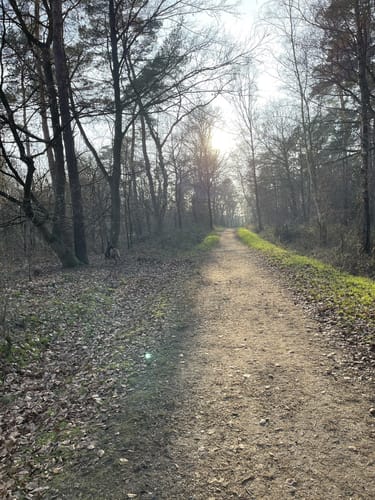 Von Baerlaghof in die Leucht