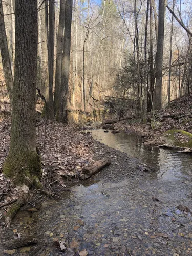 10 Best Hikes and Trails in Cumberland Trail State Park | AllTrails