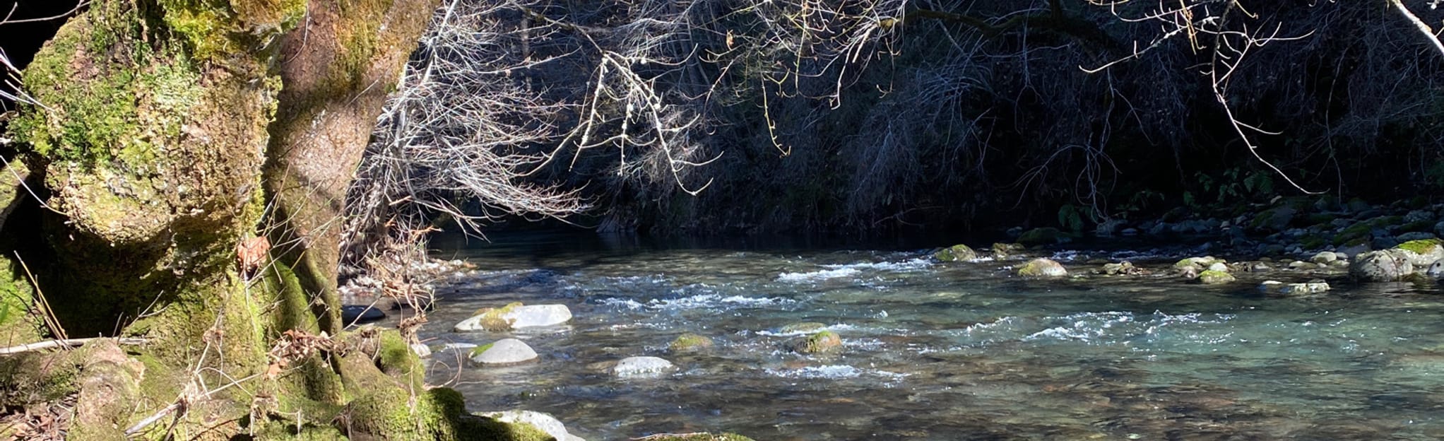 Cohasset Beach Trail, California 8 Reviews, Map AllTrails