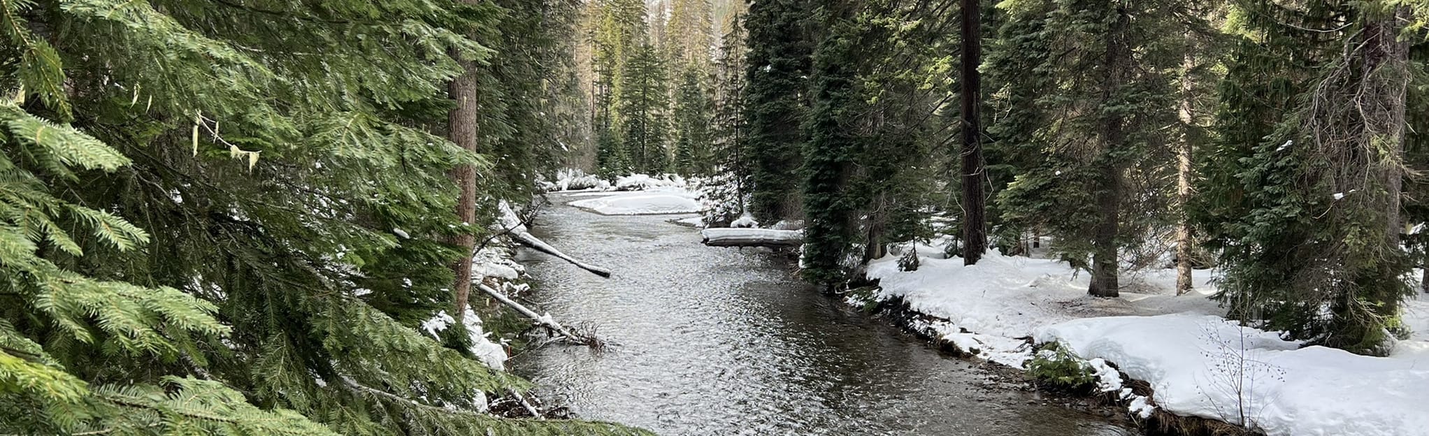 Kettle Creek Trail, Washington Map, Guide AllTrails