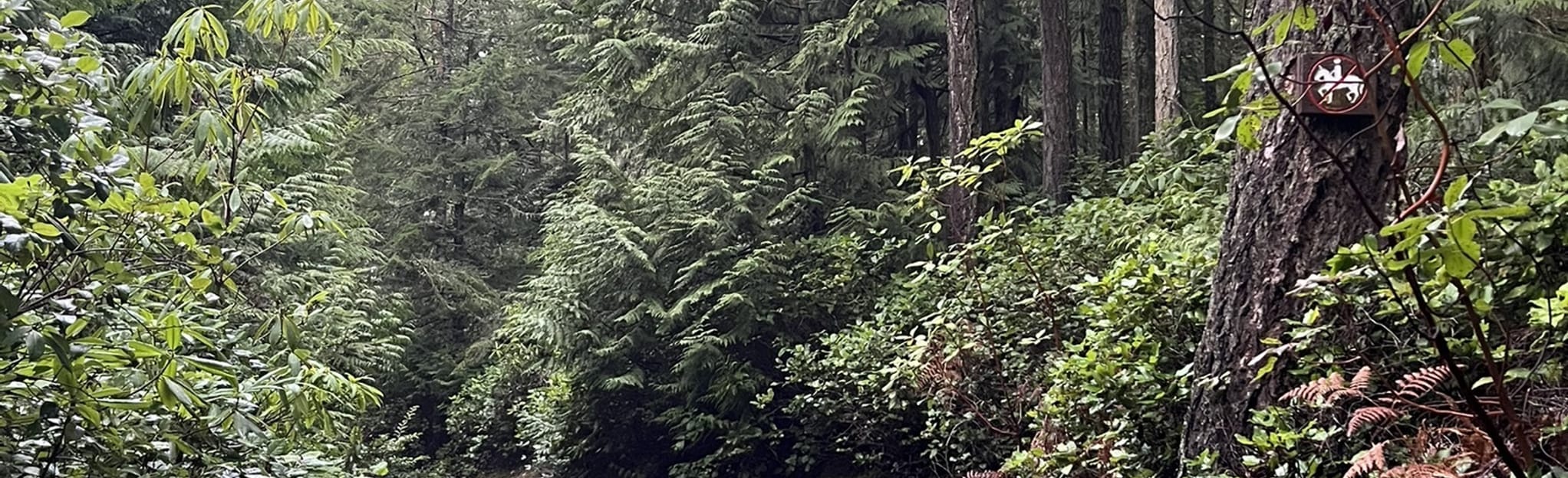 Elle Belle, Mainline, Boundary, Alder Grove, and High Traverse Loop ...