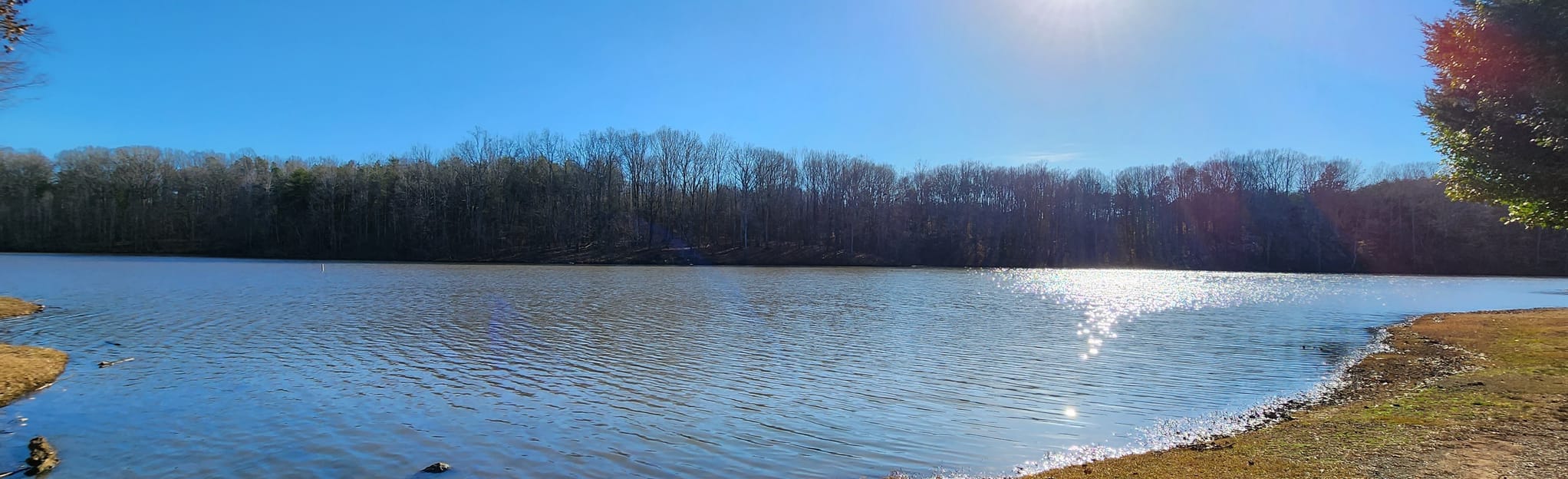 GuilfordMackintosh Trail North Carolina AllTrails